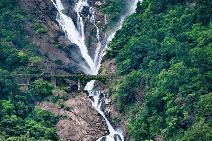 4 Nights / 5 Days Goa Escape: North Goa, South Goa & Dudhsagar